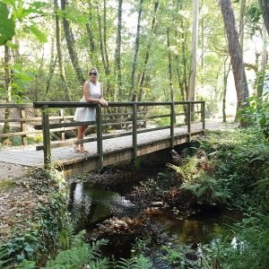 Puente Ruta Molinos Rio Orxas