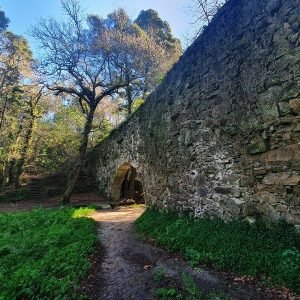 Arco de la Condesa Bosque Aldan