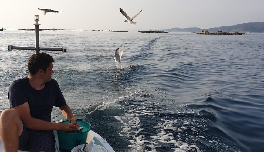 Pesca en la Ría de Aldán