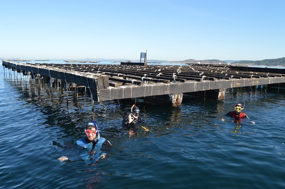 Snorkel en Batea