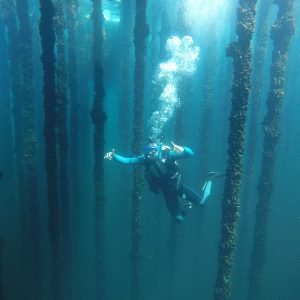 buceo en batea