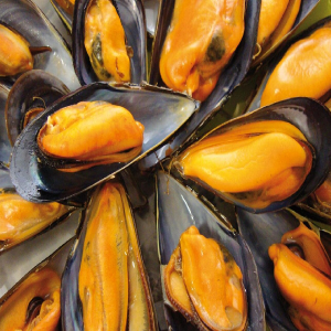 mejillones