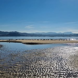 playa xunqueira moaña