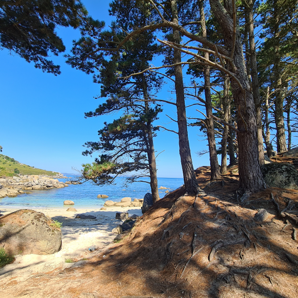 playa padrón udra