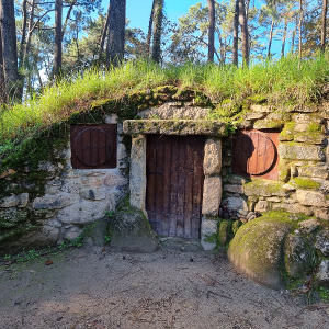 casas grobit toja