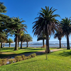 jardines de la toja